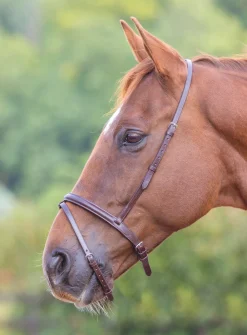 Velociti GARA Flash Noseband^Shires Equestrian Outlet