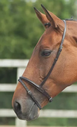 Velociti GARA Flash Noseband^Shires Equestrian Outlet