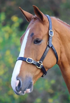 Velociti GARA Fully Adjustable Leather Headcollar^Shires Equestrian Online