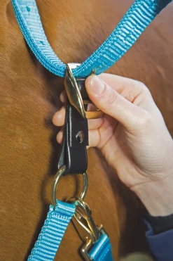 Velociti GARA Headcollar Breakaway Attachment^Shires Equestrian New