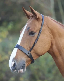 Velociti GARA Hunter Cavesson Noseband^Shires Equestrian Best