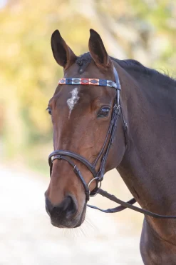 Velociti GARA Leather Polo Browband^Shires Equestrian Clearance