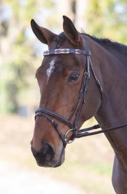 Velociti GARA Leather Polo Browband^Shires Equestrian Clearance