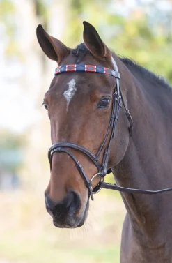 Velociti GARA Leather Polo Browband^Shires Equestrian Clearance