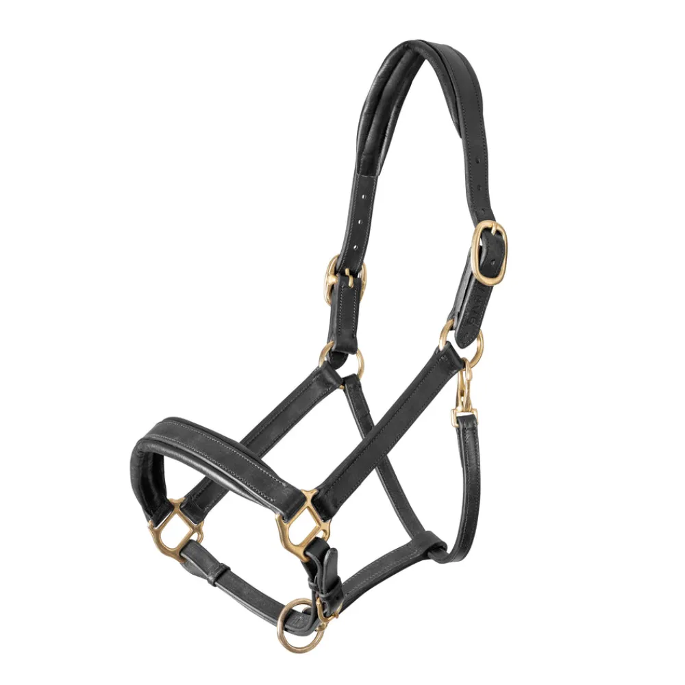 Velociti GARA Leather Travel Headcollar^Shires Equestrian