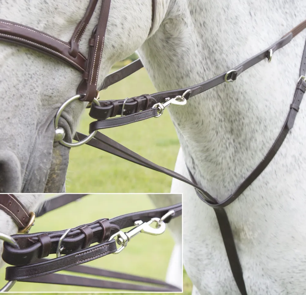 Velociti GARA Market Harborough^Shires Equestrian Sale