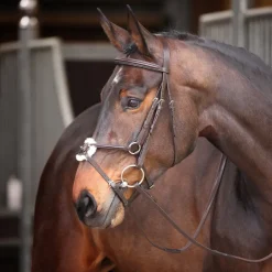 Velociti GARA Mexican Bridle^Shires Equestrian Clearance