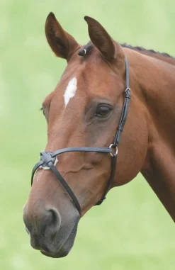 Velociti GARA Mexican Noseband^Shires Equestrian Best