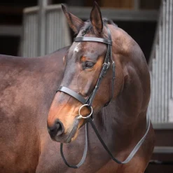Velociti GARA Plain Bridle^Shires Equestrian Online