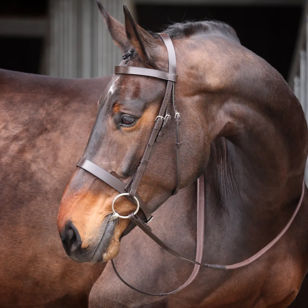 Velociti GARA Plain Bridle^Shires Equestrian Online