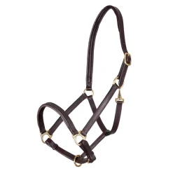 Velociti GARA Ragley Lined Leather Headcollar^Shires Equestrian
