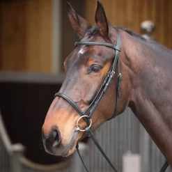 Velociti GARA Raised Cavesson Bridle^Shires Equestrian Sale
