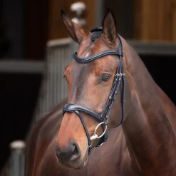 Velociti Lusso Elite Flash Bridle^Shires Equestrian Hot