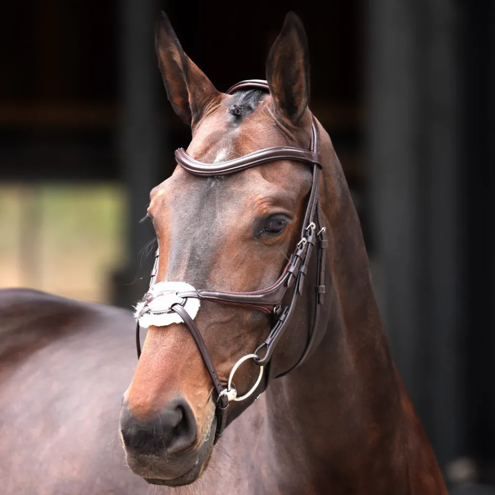 Velociti Lusso Elite Grackle Bridle^Shires Equestrian Hot