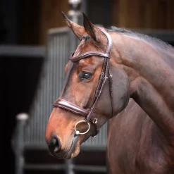 Velociti Lusso Elite Padded Cavesson Bridle^Shires Equestrian Hot