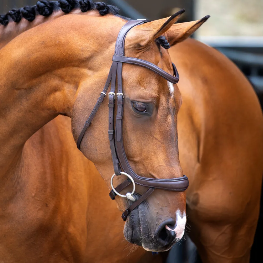 Velociti Lusso Ergonomic Curved Flash Bridle^Shires Equestrian Discount