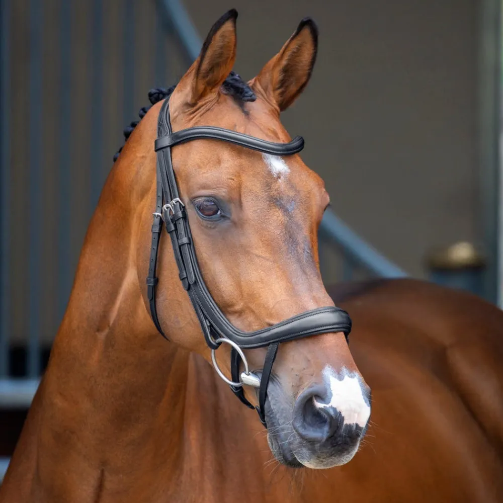 Velociti Lusso Ergonomic Curved Flash Bridle^Shires Equestrian Discount