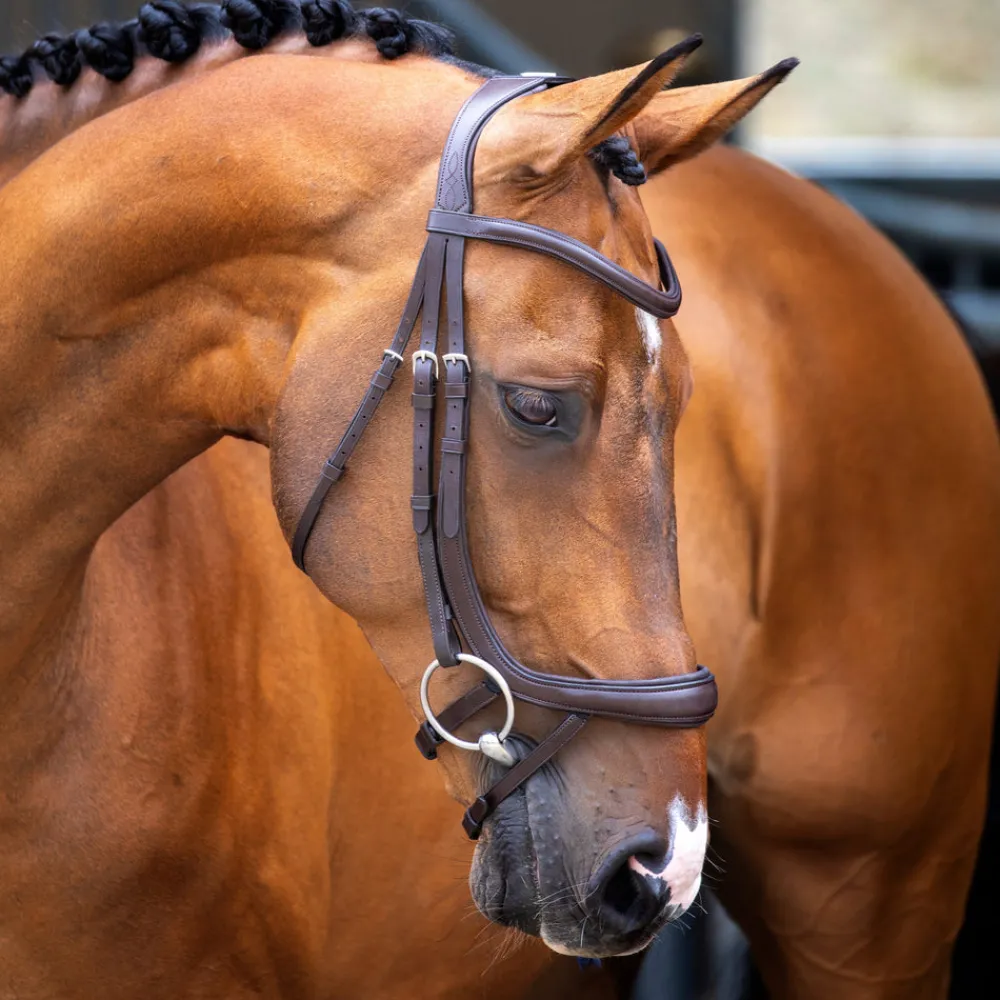Velociti Lusso Ergonomic Curved Flash Bridle^Shires Equestrian Discount