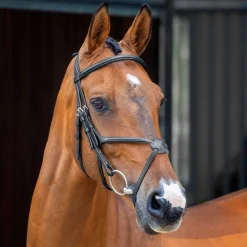 Velociti Lusso Grackle Bridle^Shires Equestrian Discount