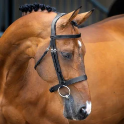 Velociti Lusso Hunter Cavesson Bridle^Shires Equestrian Clearance
