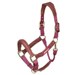 Velociti Lusso Padded Leather Headcollar^Shires Equestrian Hot