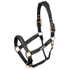 Velociti Lusso Padded Leather Headcollar^Shires Equestrian Hot