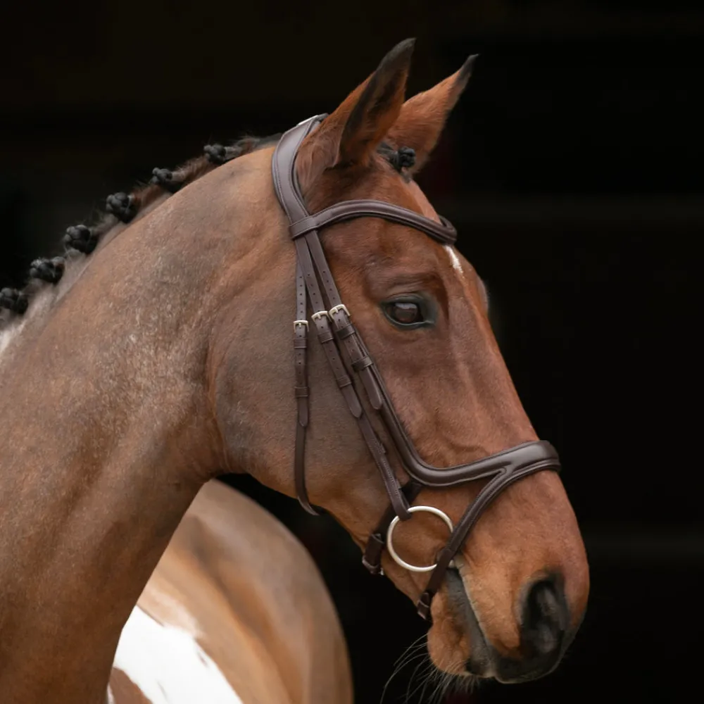 Velociti RAPIDA Comfort Flash Bridle^Shires Equestrian