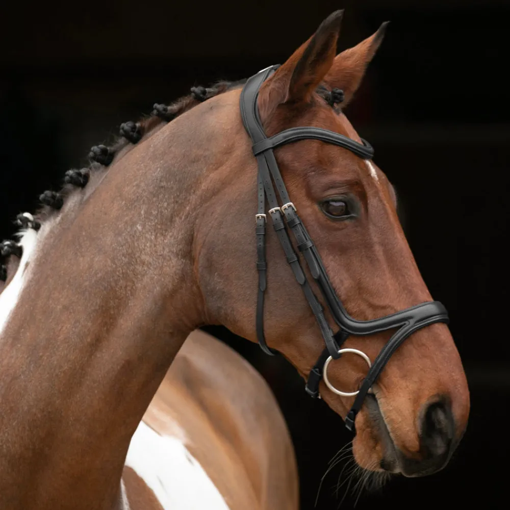Velociti RAPIDA Comfort Flash Bridle^Shires Equestrian