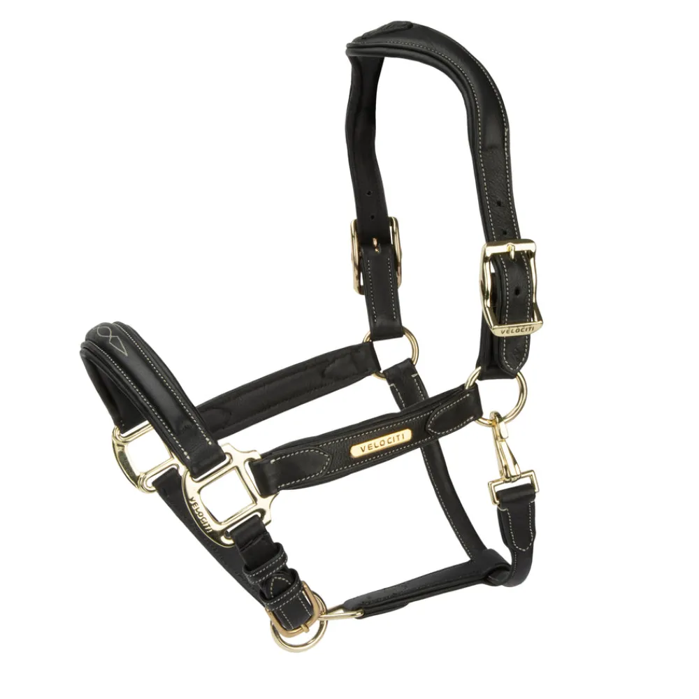 Velociti RAPIDA Comfort Leather Headcollar^Shires Equestrian Sale