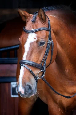 Velociti RAPIDA Dressage Bridle with Flash^Shires Equestrian Discount