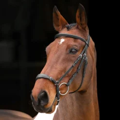 Velociti RAPIDA Drop Noseband Bridle^Shires Equestrian Hot