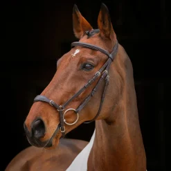 Velociti RAPIDA Drop Noseband Bridle^Shires Equestrian Hot