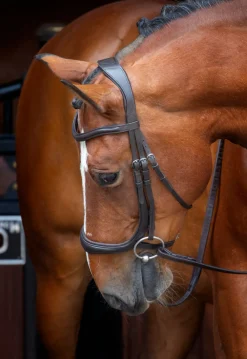 Velociti RAPIDA Ergonomic Cavesson Bridle^Shires Equestrian Online
