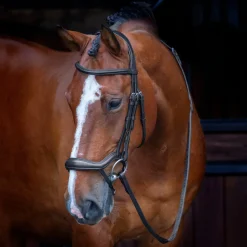 Velociti RAPIDA Ergonomic Flash Bridle^Shires Equestrian New