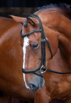 Velociti RAPIDA Ergonomic Curved Flash Bridle^Shires Equestrian Online