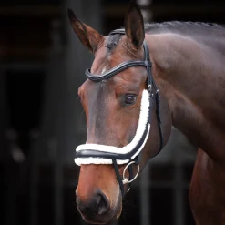 Velociti RAPIDA Fleece Curved Flash Noseband^Shires Equestrian Online