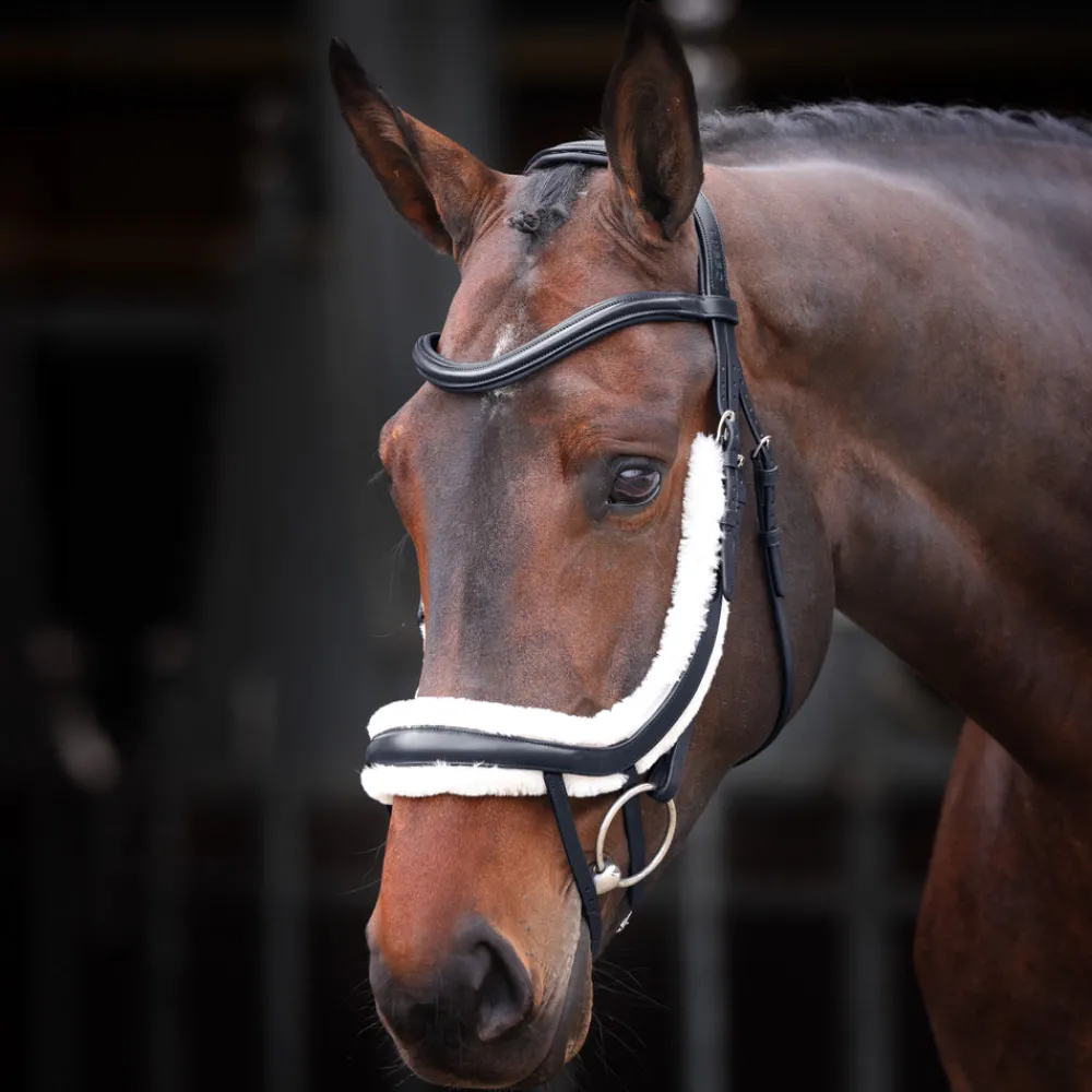 Velociti RAPIDA Fleece Curved Flash Noseband^Shires Equestrian Online