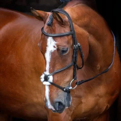 Velociti RAPIDA Grackle Bridle^Shires Equestrian Clearance