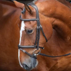 Velociti RAPIDA Padded Raised Flash Bridle^Shires Equestrian Sale