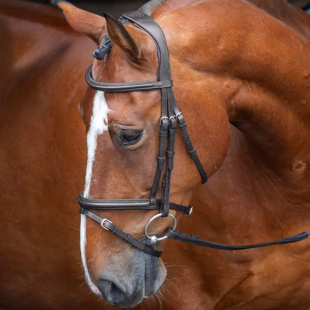 Velociti RAPIDA Padded Raised Flash Bridle^Shires Equestrian Sale