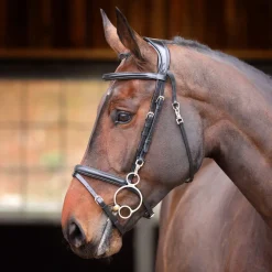Velociti RAPIDA Training Bridle^Shires Equestrian Online