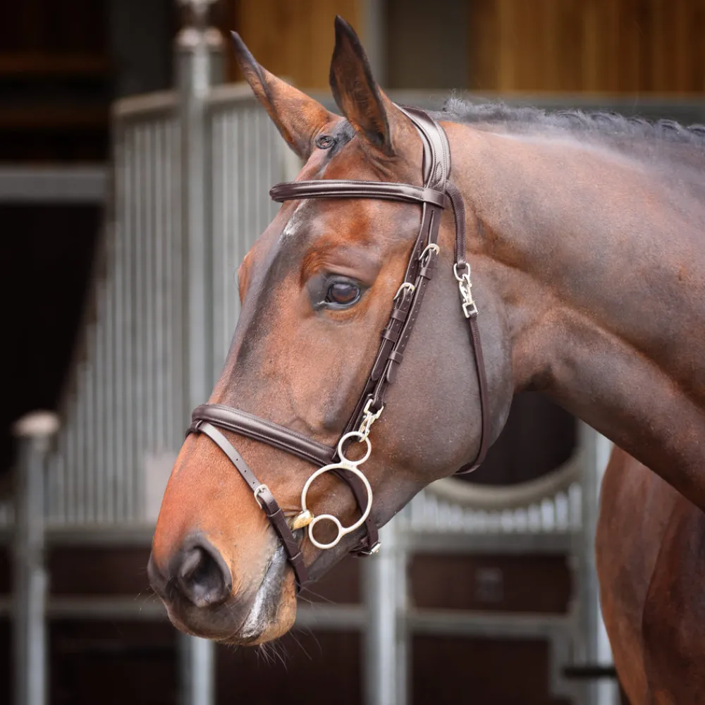 Velociti RAPIDA Training Bridle^Shires Equestrian Online