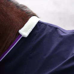 Winnie & Me Stable Sheet^Shires Equestrian Sale